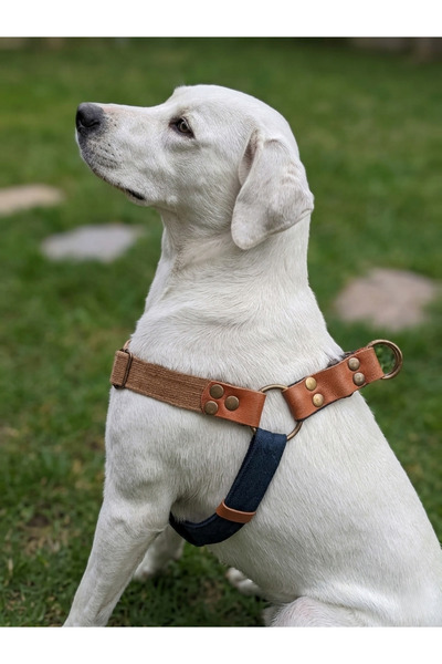 balkonda طوق صدر للكلاب قابل للتعديل للسلالات الكبيرة والكبيرة جدًا مخمل وبلو...