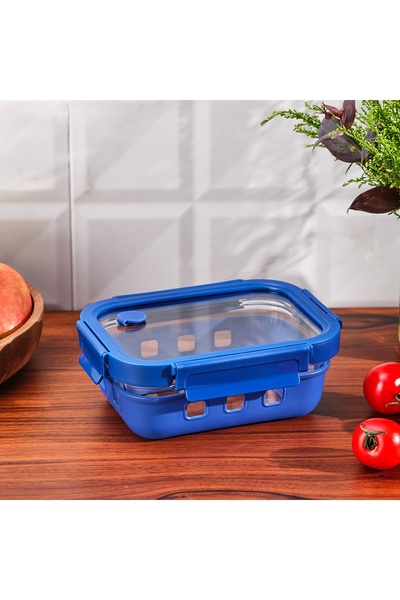 Emsan Smart 640 ml Borosilicate Storage Container