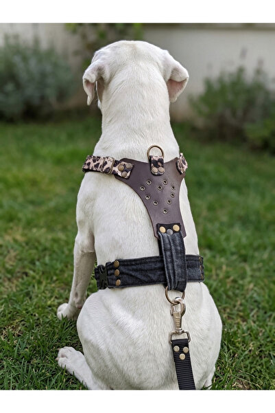 balkonda Dog Chest Collar Reversible Models Medium & Large Breed Adjustable G...