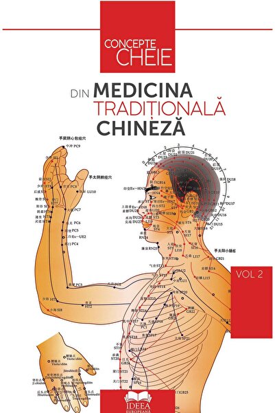 Editura Ideea Europeana Key concepts in traditional Chinese medicine.