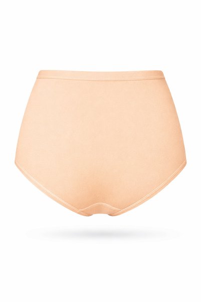ERDEM İÇ GİYİM Erdem Ten Cotton Elastane High Waist Panties 2519