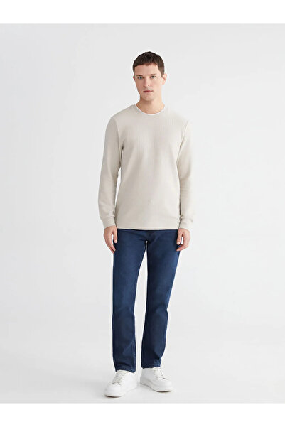 LC Waikiki Beige Crew Neck Long Sleeve Men's T-Shirt