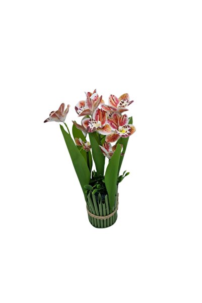 decotoys Buchet din flori artificiale 6 orhidee