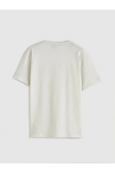 LC Waikiki Tricou gri Brawl Stars cu imprimeu pentru băieți