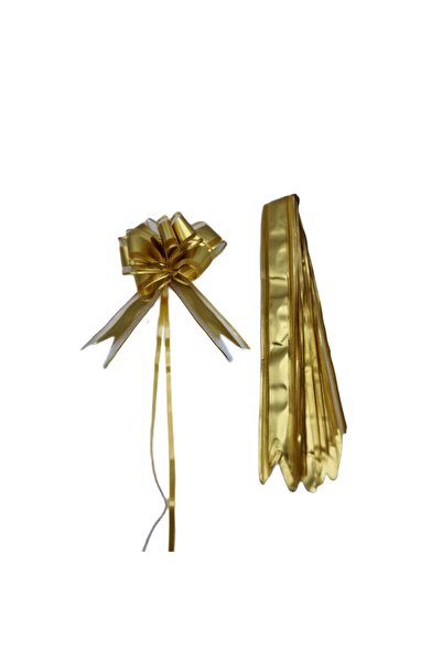 decotoys Plastic Christmas bow gold 10/set 3 cm 5sets