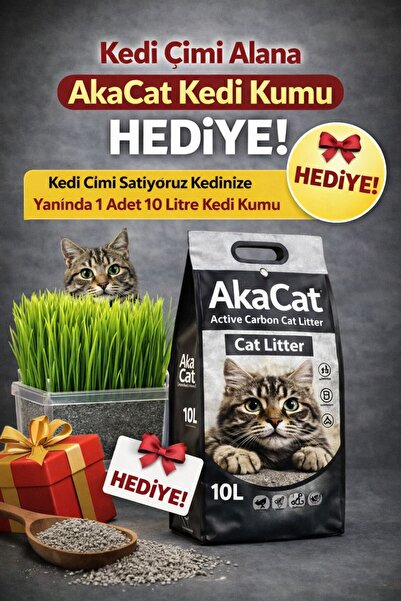 AKACAT Kedi Çimi Hediye Aktif Karbonlu Süper Topaklanan Premium Kedi Kumu 10 Lt