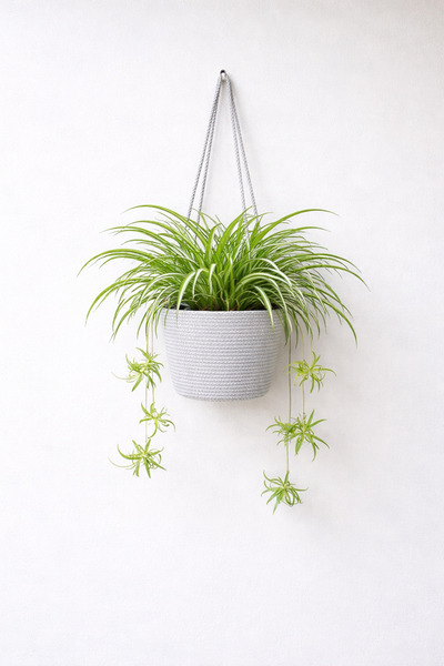 ÖRGÜM albastru cobalt coș decorativ pentru flori albastru cobalt organizator ...