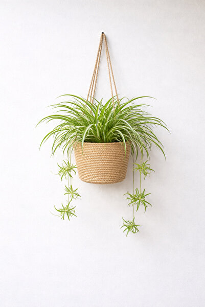 ÖRGÜM albastru cobalt coș decorativ pentru flori albastru cobalt organizator ...