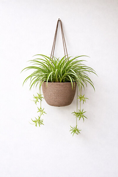 ÖRGÜM Cobalt Decorative Flower Baskets Cobalt Organizers 20X18 cm Plant and V...