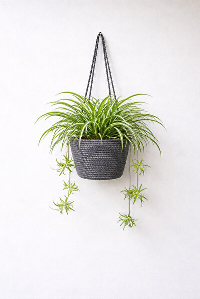 ÖRGÜM Cobalt Decorative Flower Baskets Cobalt Organizers 20X18 cm Plant and V...