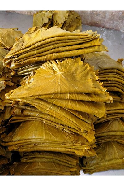 Empressco Taze Asma Üzüm Yaprağı 5 KG – Salamura, Damarsız, Lezzetli ve Aromalı