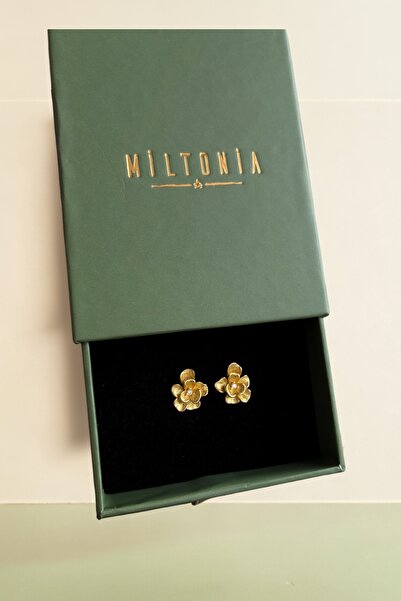 Miltonia 925s Çiçek Gümüş Küpe