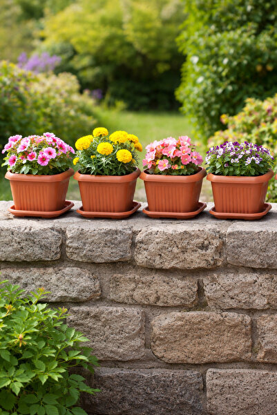 Binbirreyon 4 Adet Kare Terracotta Tabaklı Saksı 1Lt 13x13x11cm Plastik AH105