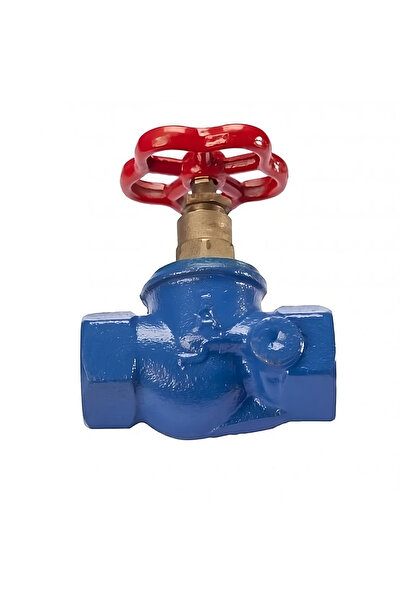 regata Water Shut-Off Valve with Vent, Female-Female Thread, 1 1/4", Brass Pr...