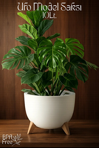 GİNZAMAİSON Ufo Model Saksı - 10Lt. Saksı - Yuvarlak Modern Saksı