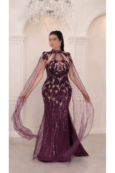 domiga Long Evening Dress in Mauve with Embroidery and Royal Sleeves