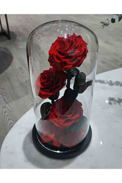 Feryal Al Bastaki Flowers