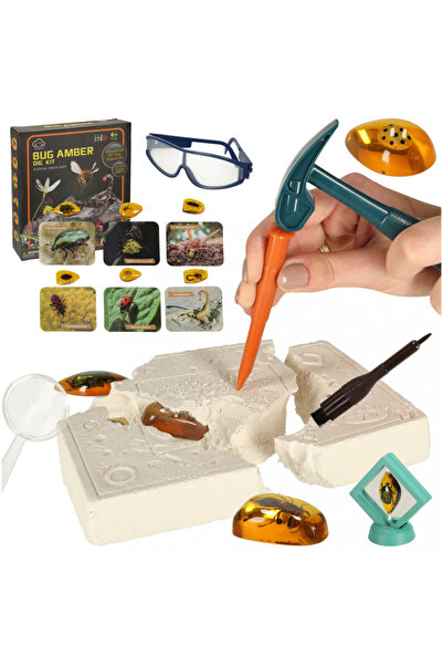 Ikonka Set arheologic educational insecte in chihlimbar