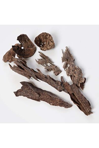 Cambodian Double Super Oud