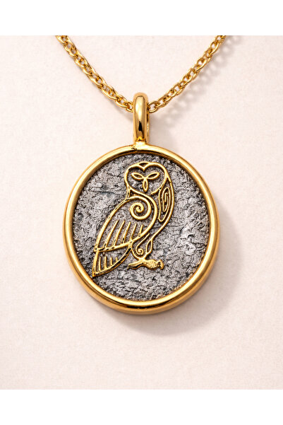 BHCL Owl Necklace, Oval Pendant, Locket Necklace, Embossed Owl Motif Gift Wom...