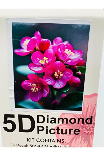 DUCK HOBY 50x40 Boncuklu Taş Mozaik Elmas Goblen Pano Tablo Resim Boncuk Puzz...