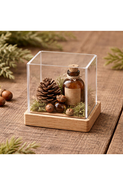 PLEXIROM Square storage box with oak wood base l 12xd 12xh 10cm