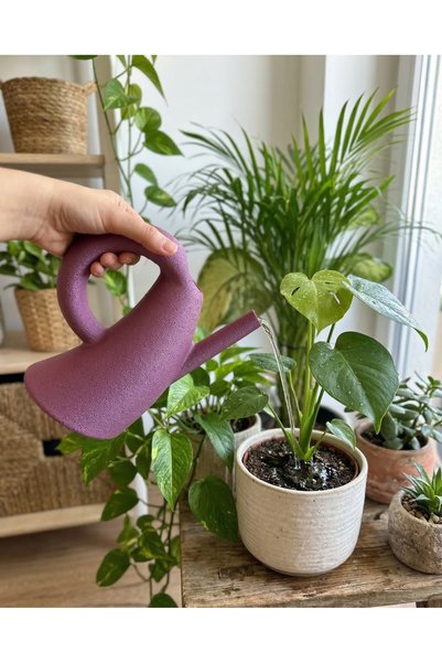 Elana Design Dance Plant Watering Can - 1.2 Liters – Modern Design & Functional Elegance - Burgundy