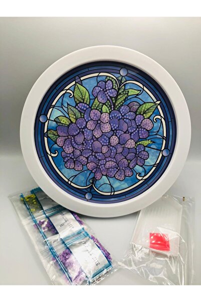 DUCK HOBY 20X20 Round Framed for Children B Beaded Stone Mosaic Diamond Paint...