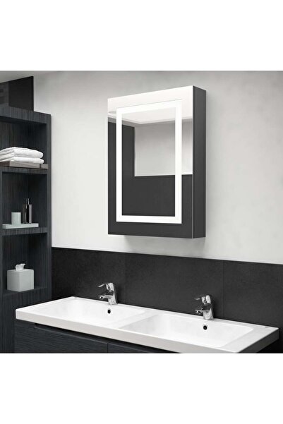 Concept Dulap de baie cu oglindă și LED, gri, 50x13x70 cm