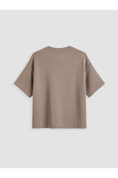 LC Waikiki Xside Brown Crew Neck Soft Touch Women's T-Shirt