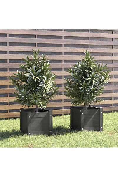 Concept Γλάστρες κήπου, 2 τεμ., γκρι, 31x31x31 cm, μασίφ ξύλο πεύκου