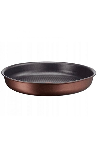 TEFAL Ingenio Resource frying pan L6750302, 22 cm