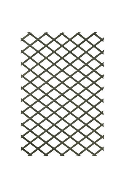 Nature Spalier de grădină, verde, 50 x 150 cm, lemn