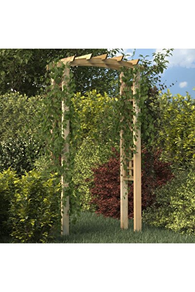 Concept Arcadă cu spalier, 110x60x220 cm, lemn masiv de pin tratat