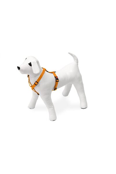 Karlie Kilitli Göğüs Tasma, Köpek, M, 45-70 cm, Turuncu