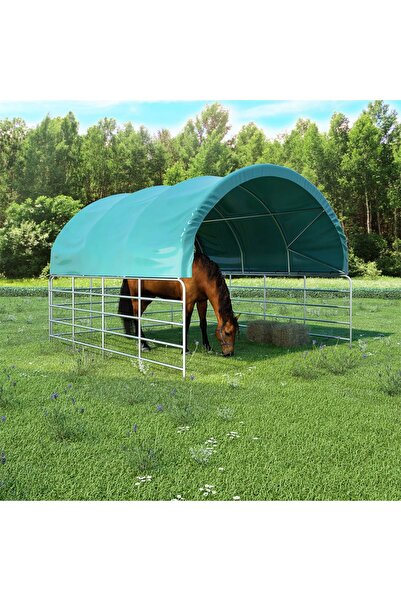 Concept Cort pentru animale, verde, 3,7x3,7 m, PVC