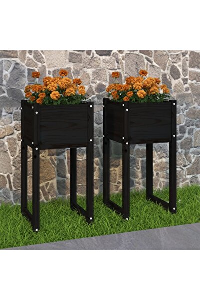 Concept Γλάστρες, 2 τεμ., Μαύρες, 40x40x52,5 cm, μασίφ ξύλο πεύκου