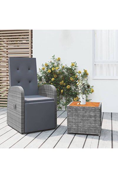 Concept Set șezlonguri de grădină, 2 piese, poliratan și lemn acacia