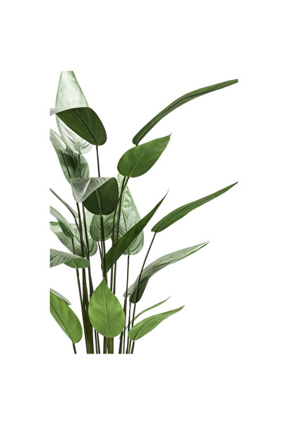 EMERALD Plantă Heliconia artificială, verde, 125 cm, 419837