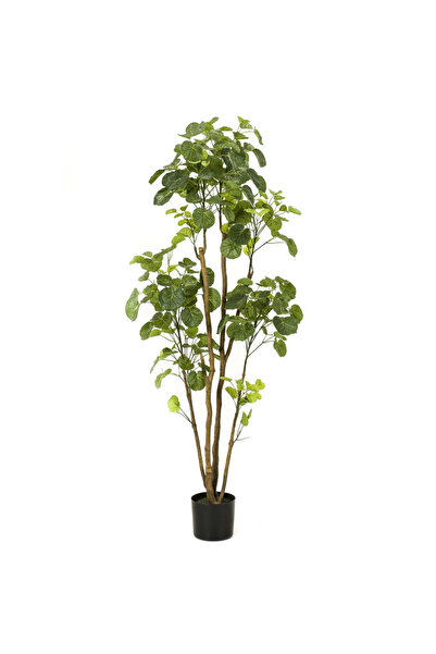 EMERALD Arbore artificial Polyscias în ghiveci, 160 cm