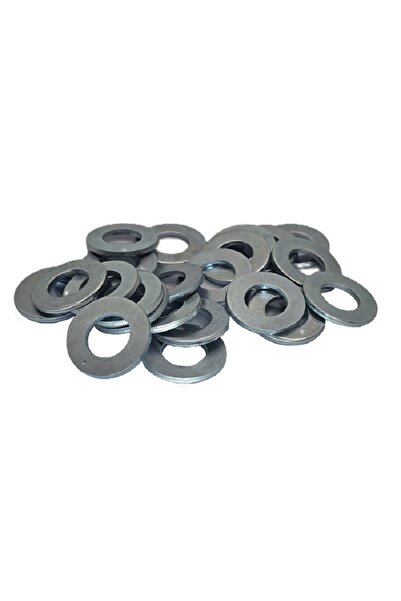 seda Saiba Plata M20x37x3 DIN 125 - 100buc/cutie