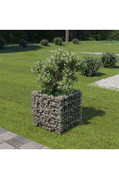 Concept Strat înălțat gabion, 50 x 50 x 50 cm, oțel galvanizat