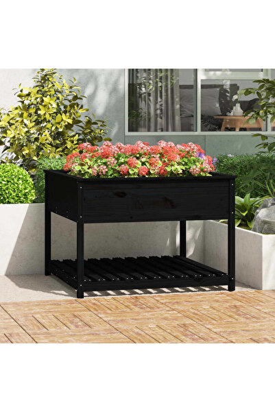 Concept Γλάστρα με ράφι, μαύρη, 111,5x111,5x81 cm, από μασίφ ξύλο πεύκου