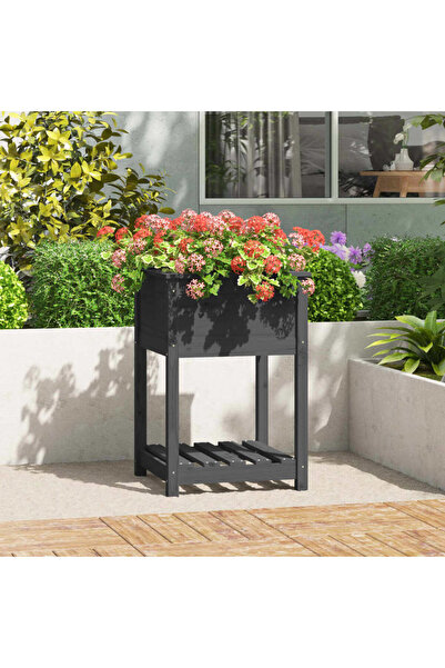 Concept Γλάστρα με ράφι, γκρι, 54x54x81 cm, μασίφ ξύλο πεύκου