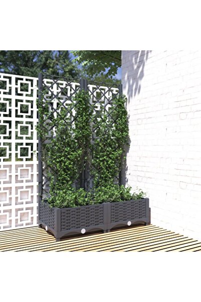 Concept Γλάστρα κήπου με πέργκολα, σκούρο γκρι, 80x40x121,5 cm, PP