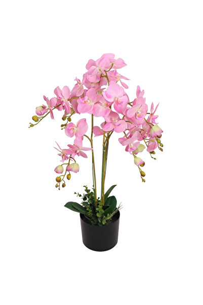 Concept Τεχνητή ορχιδέα με γλάστρα, 75 cm, ροζ