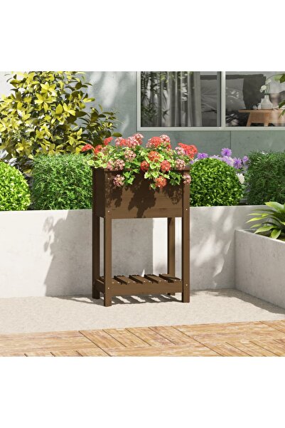 Concept Γλάστρα με ράφι, μελί καφέ, 54x34,5x81 cm, μασίφ ξύλο πεύκου