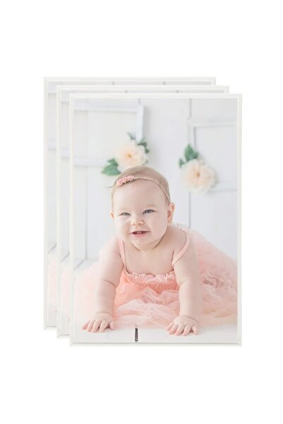 Concept Rame foto colaj de perete/masă 3 buc. argintiu 21x29,7 cm MDF