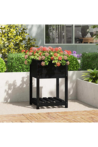 Concept Γλάστρα με ράφι, μαύρη, 54x54x81 cm, από μασίφ ξύλο πεύκου