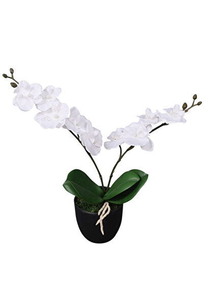 Concept Τεχνητή ορχιδέα με γλάστρα, 30 cm, λευκή